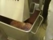 Hackfleisch